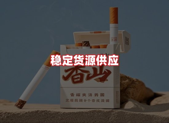 专业团队
